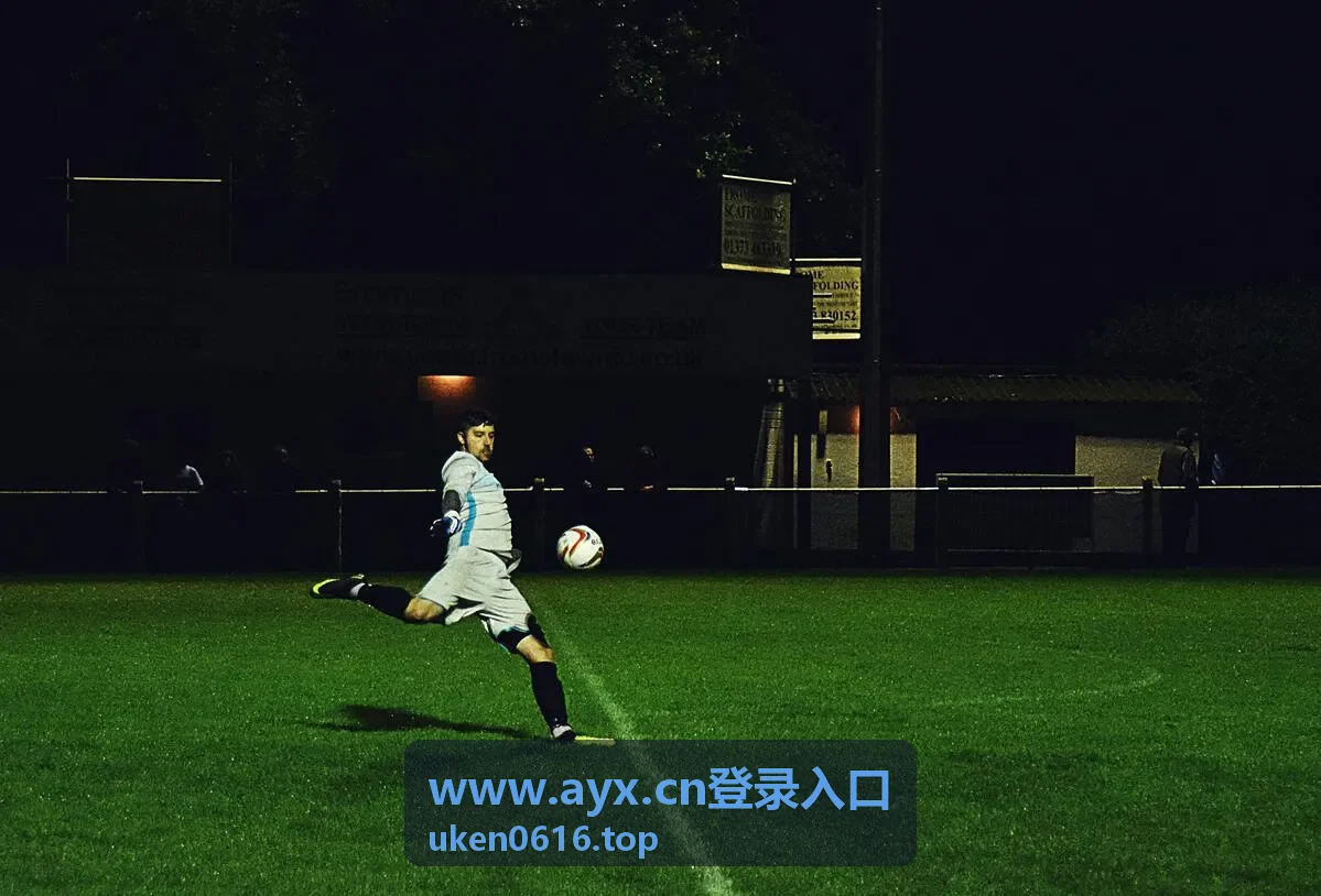 www.ayx.cn登录入口 账号与密码填写位置说明