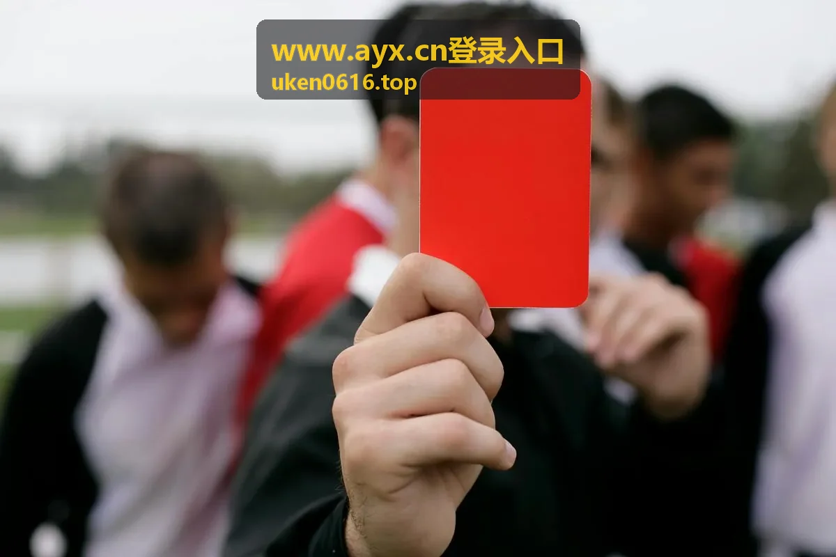 www.ayx.cn登录入口 登录成功后的状态确认方法